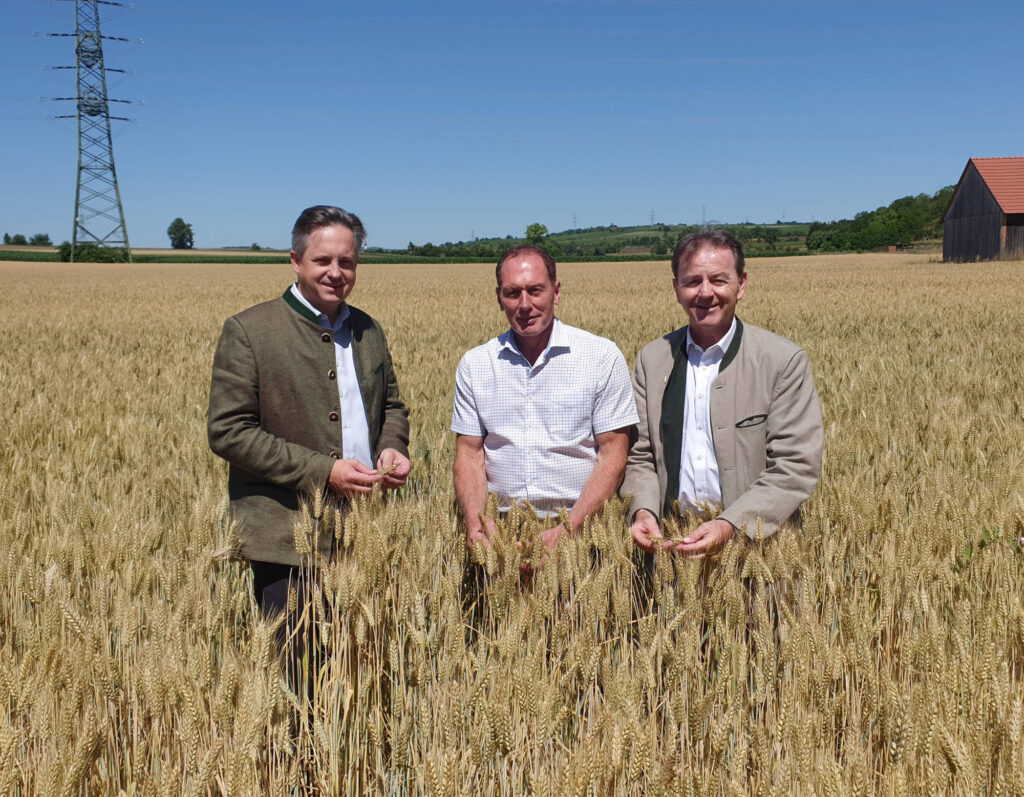 Johannes Schmuckenschlager, Josef Moosbrugger und Nikolaus Berlakovich stehen in einem Weizenfeld.