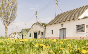 Ort im Waldviertel
