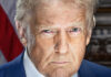 Porträt von Donald Trump