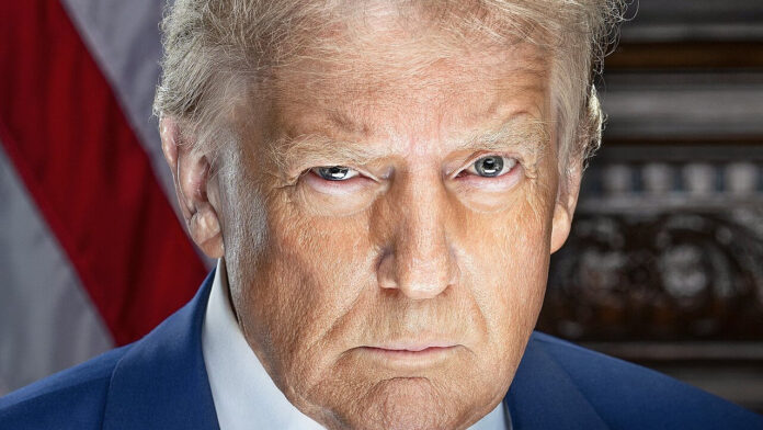 Porträt von Donald Trump