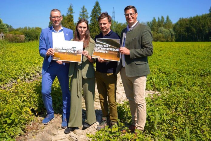 Thomas Krahofer, Verena Hutter, Matthias Ecker und Robert Pichler