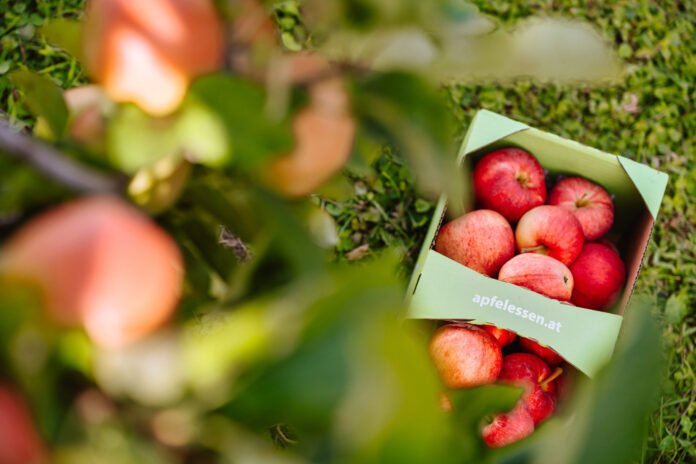 Äpfel in einer Kiste