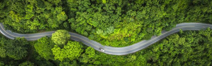 Symbolbild für Nachhaltigkeitsberichte. Straße durch einen grünen Wald aus der Vogelperspektive