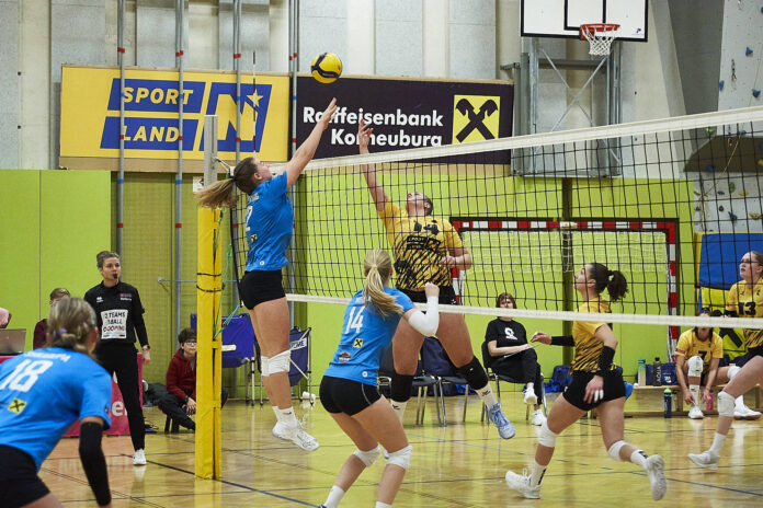 241123_UnionVolley_FDU Die Damen der UNIONvolleys im Spiel