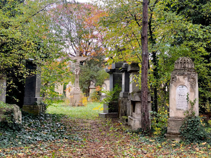 Friedhof_c_Sandra Schäfer 99 Grabsteine erinnern im Waldmüller- park an den ehemaligen Friedhof