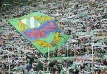 Blick in den Fansektor von SK Rapid