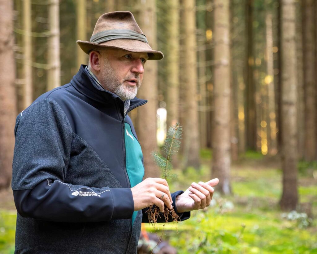 Bernhard Funcke plädiert für mehr Vielfalt bei Baumarten.