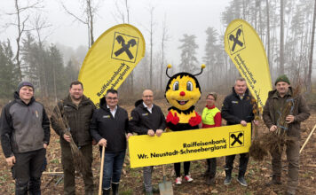 Sumsi forstet auf Gruppenfoto beim Pflanzen des Sumsi-Waldes