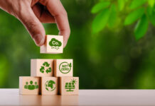 Symbolbild für Nachhaltigkeit und ESG: Holzblöcke mit grünen Symbolen werden gestapelt