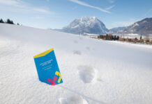 Flyer der Infotagung 2026 im Schnee vor Panorama des Grimming