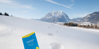 Flyer der Infotagung 2026 im Schnee vor Panorama des Grimming