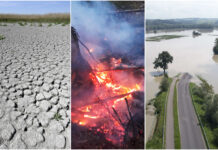 Klimawandel: „Nicht-Handeln ist die teuerste Option“ Sujetbild: Fogen des Klimawandels