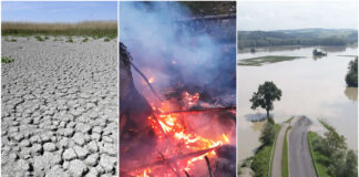 Sujetbild: Fogen des Klimawandels