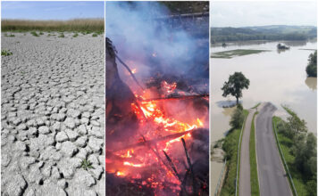 Sujetbild: Fogen des Klimawandels