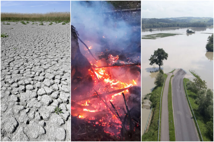 Sujetbild: Fogen des Klimawandels