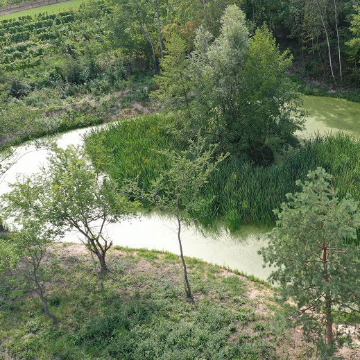 Waitzendorf Rückhaltebecken