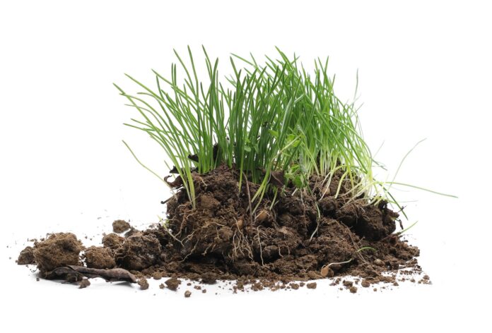 Stück Erde mit Gras