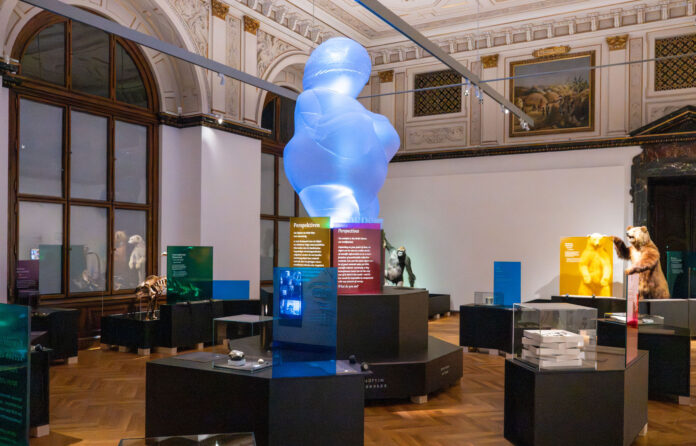 Ausstellungsansicht NHM Gutes Sammeln, böses Sammeln