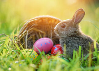 Häschen in der Wiese mit einem Korb und Ostereier