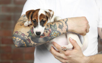 Tätowierter Mann hält einen kleinen Hund im Arm