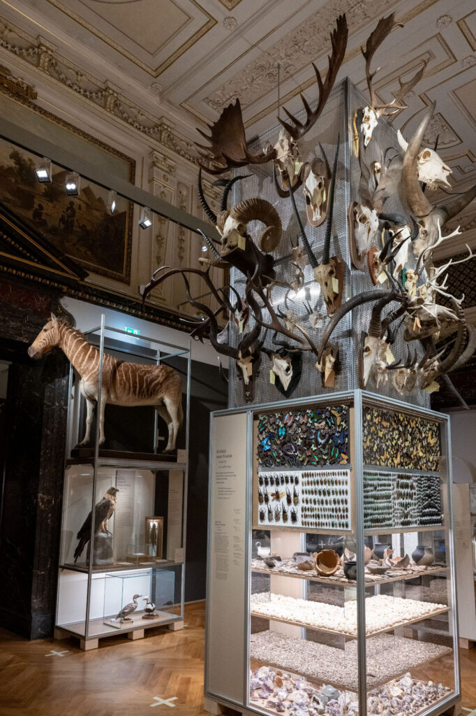 Ausstellungsansicht NHM Gutes Sammeln, böses Sammeln