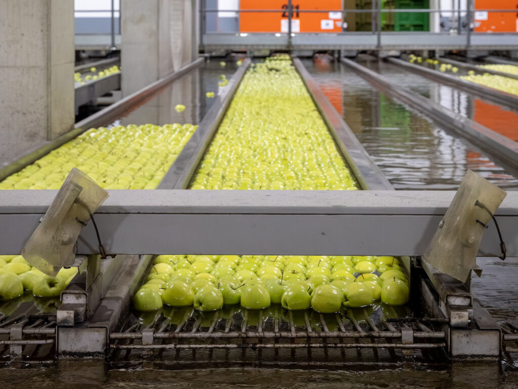 Äpfel im Wasserbad