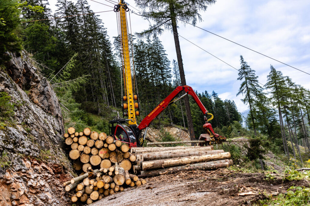 Forst/Holz: Schadholzaufarbeitung mittels Seilkran