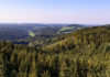 ÖBf: Diversifikation stützt Kerngeschäft Waldpanorama Kobernausserwald (Oberösterreich)