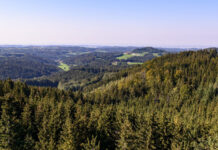 ÖBf: Diversifikation stützt Kerngeschäft Waldpanorama Kobernausserwald (Oberösterreich)
