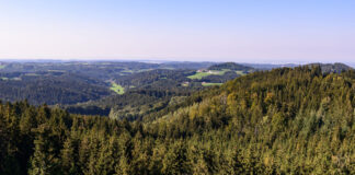 Waldpanorama Kobernausserwald (Oberösterreich)