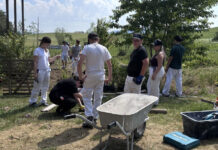 Schüler der HTL Salzburg packten mit an, um den neuen Beerengarten auf der Sonneninsel zu pflanzen.