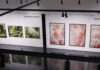 Strabag Art Award 2026 vergeben Die prämierten Werke sind in der Strabag Art Site zu sehen.