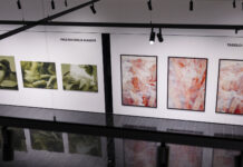 Strabag Art Award 2026 vergeben Die prämierten Werke sind in der Strabag Art Site zu sehen.