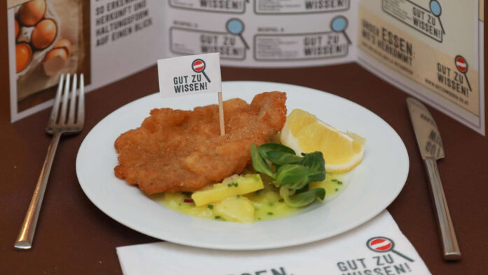 Schnitzel mit Kartoffelsalal am Teller mit 