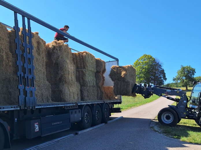 Heu wird auf einen LKW geladen.