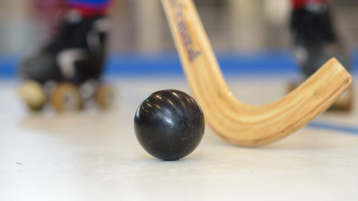 Nahaufnahme eines Rollhockey Balls und Schlägers