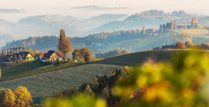 Colorful autumn landscape in the mountains with Grape hills and morning fog glowing by sun. Gamlitz, Austria, Europe. Awesome nature Background. Concept ideal resting place