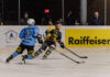 Die Penguins in Action