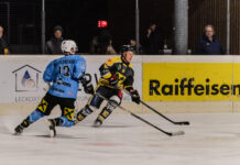 Eishockey: Der Kampf der Pinguine Die Penguins in Action
