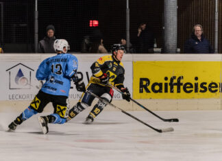 Die Penguins in Action