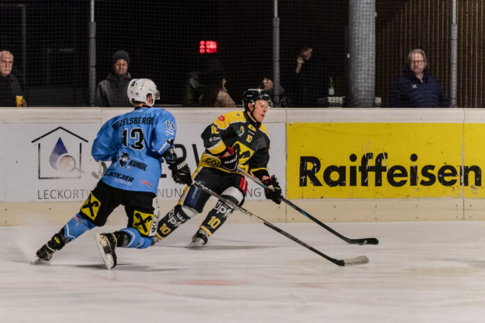 Die Penguins in Action